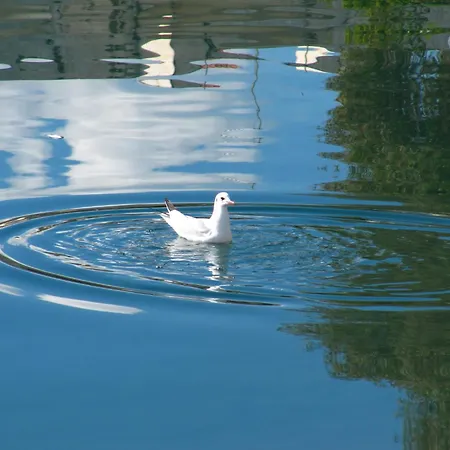 Beachfront Penthouse With Seaview