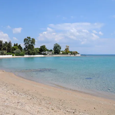 شقة Alia Beachfront Penthouse With Sea View *