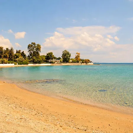 شقة Alia Beachfront Penthouse With Sea View ليفكاندي شالكيداس